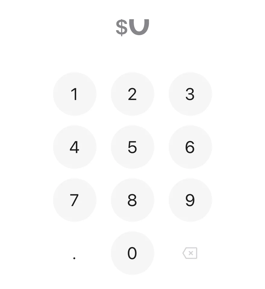 Amount Input on iOS in light mode