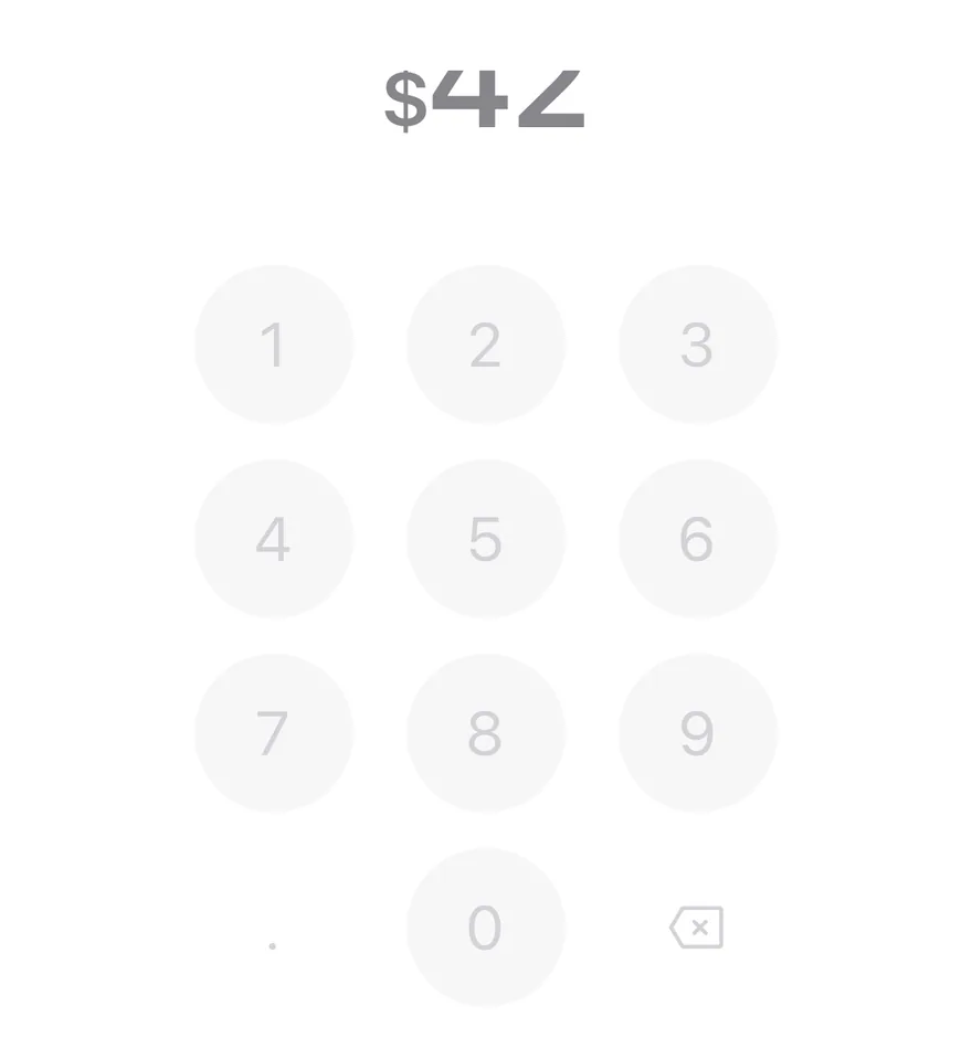 Amount Input (disabled) on iOS in light mode