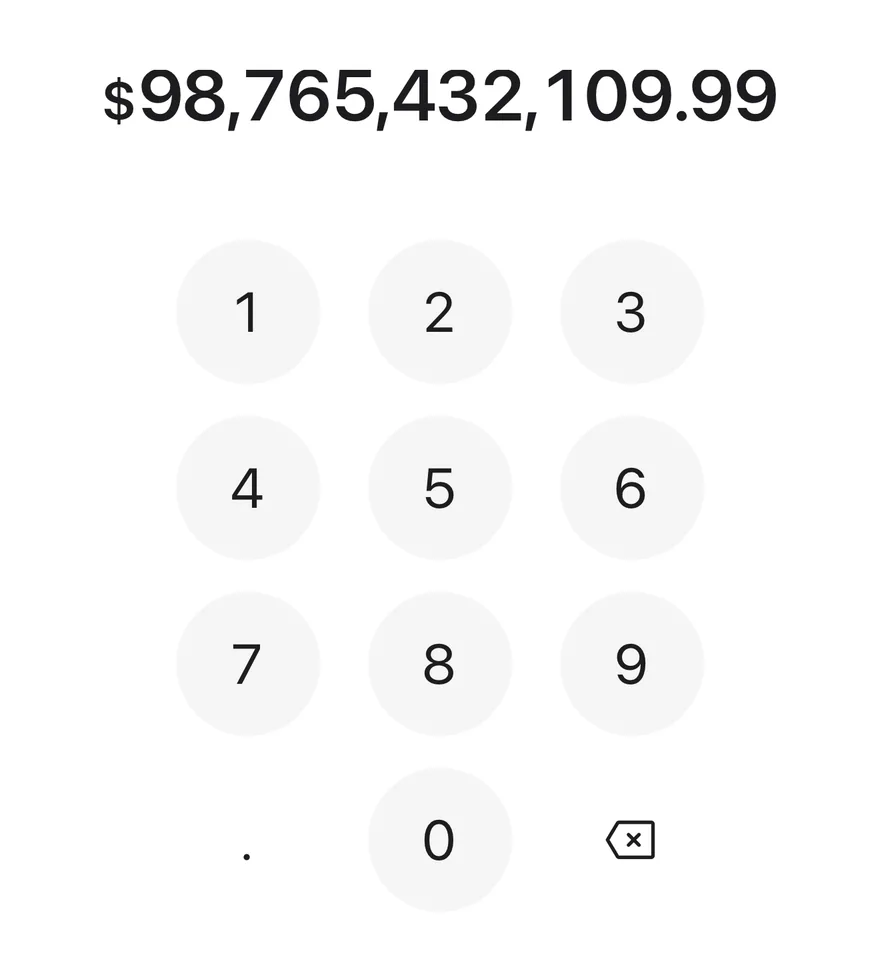 Amount Input (long amount) on iOS in light mode