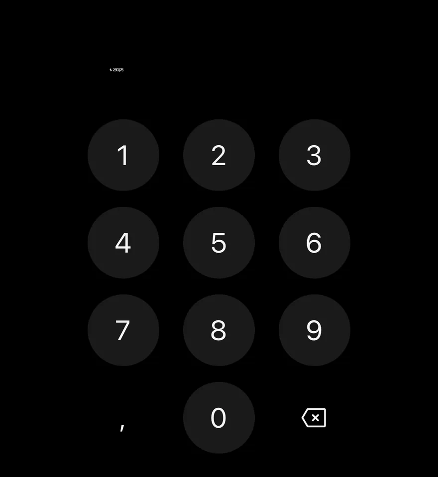 Amount Input (turkish lira) on iOS in dark mode
