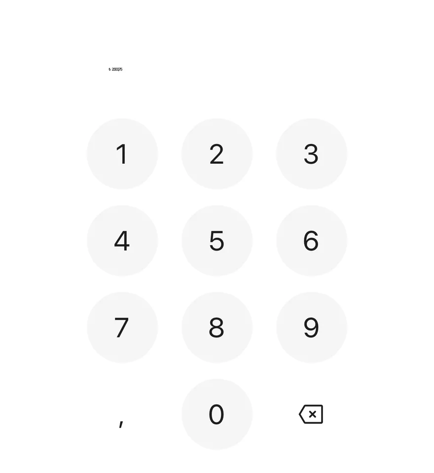 Amount Input (turkish lira) on iOS in light mode