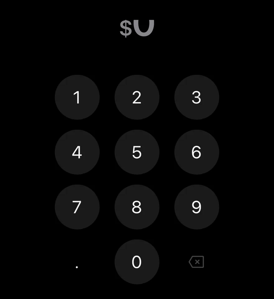Amount Input (with max) on iOS in dark mode