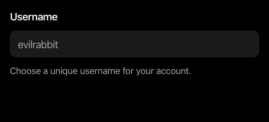 Field on iOS in dark mode