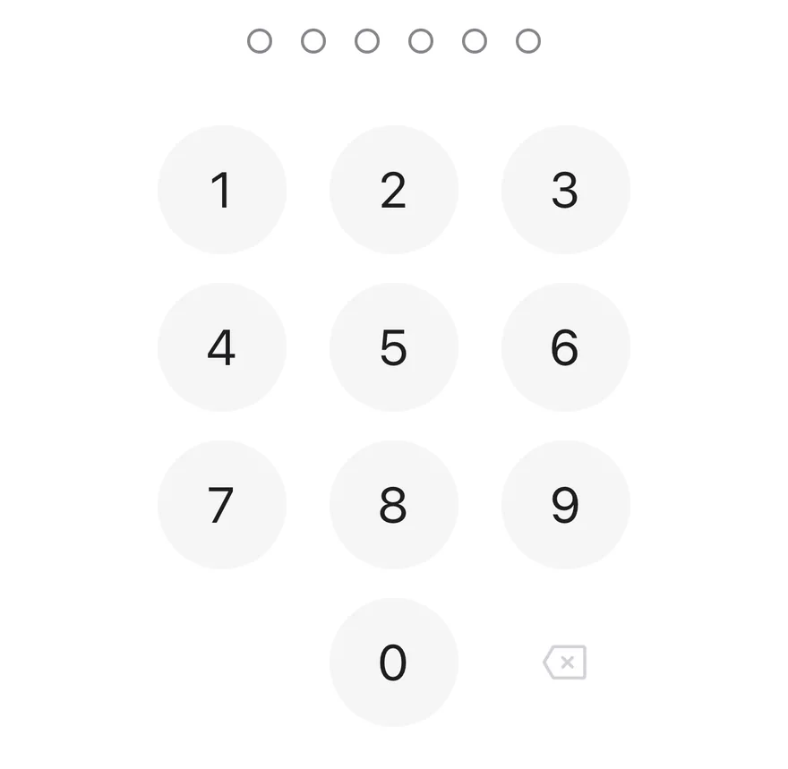 Pin Pad on iOS in light mode