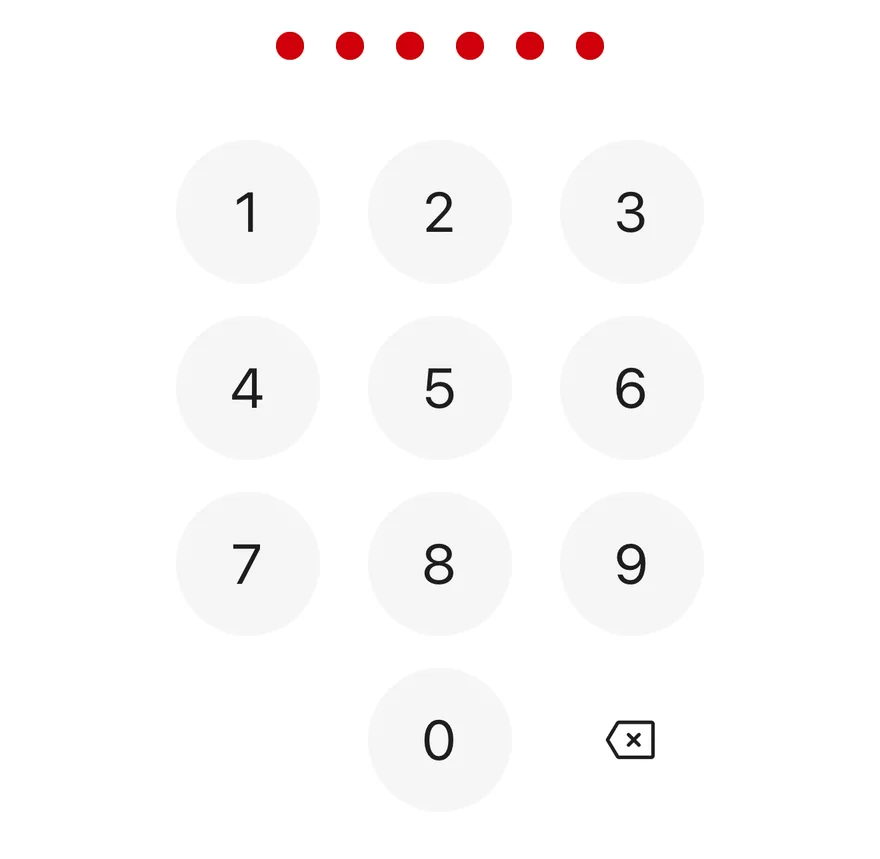 Pin Pad (error state) on iOS in light mode
