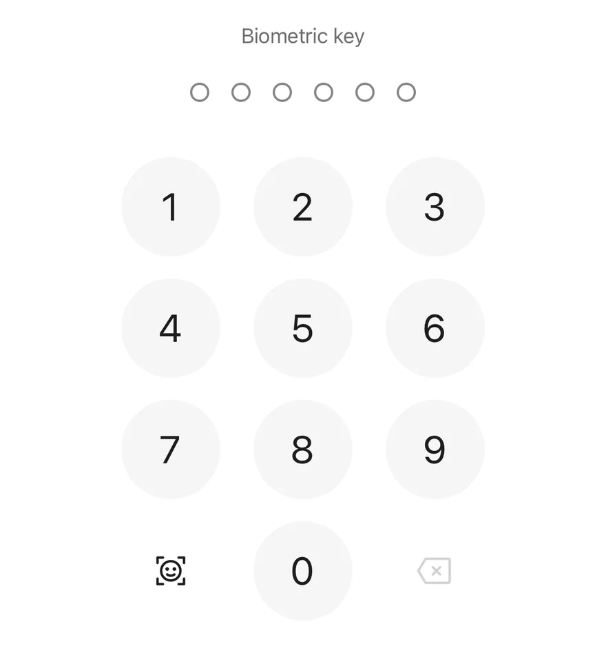Pin Pad (face biometric) on iOS in light mode