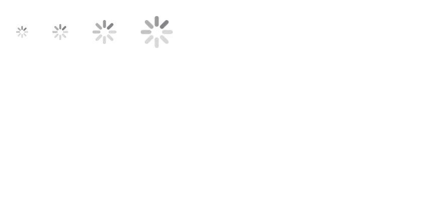Spinner (sizes) on iOS in light mode