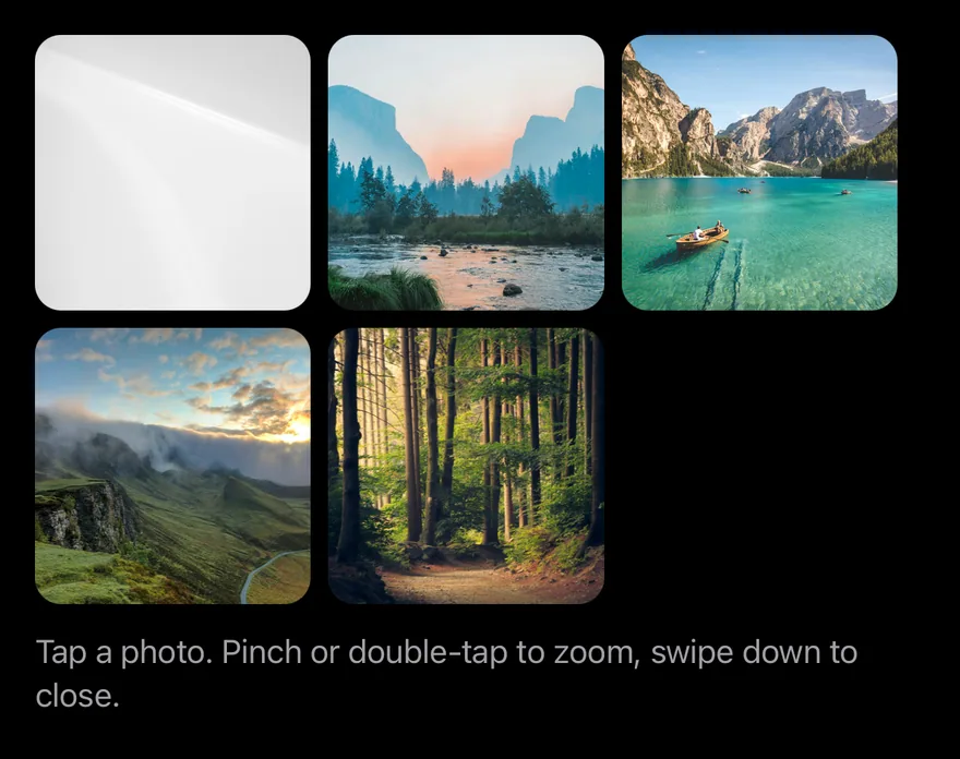 Image Viewer on iOS in dark mode