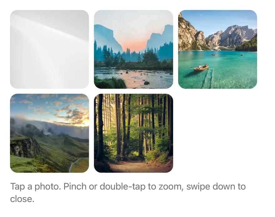 Image Viewer on iOS in light mode