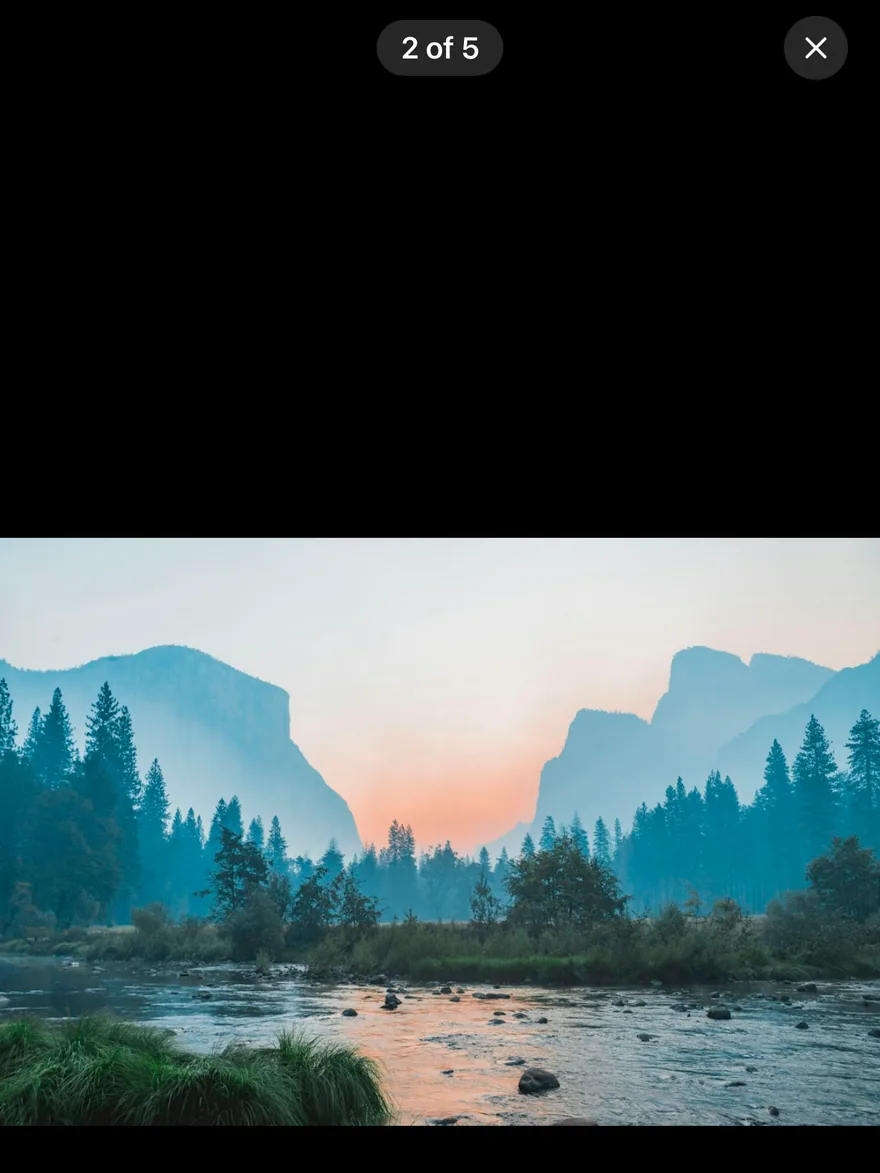 Image Viewer (open by default) on iOS in light mode