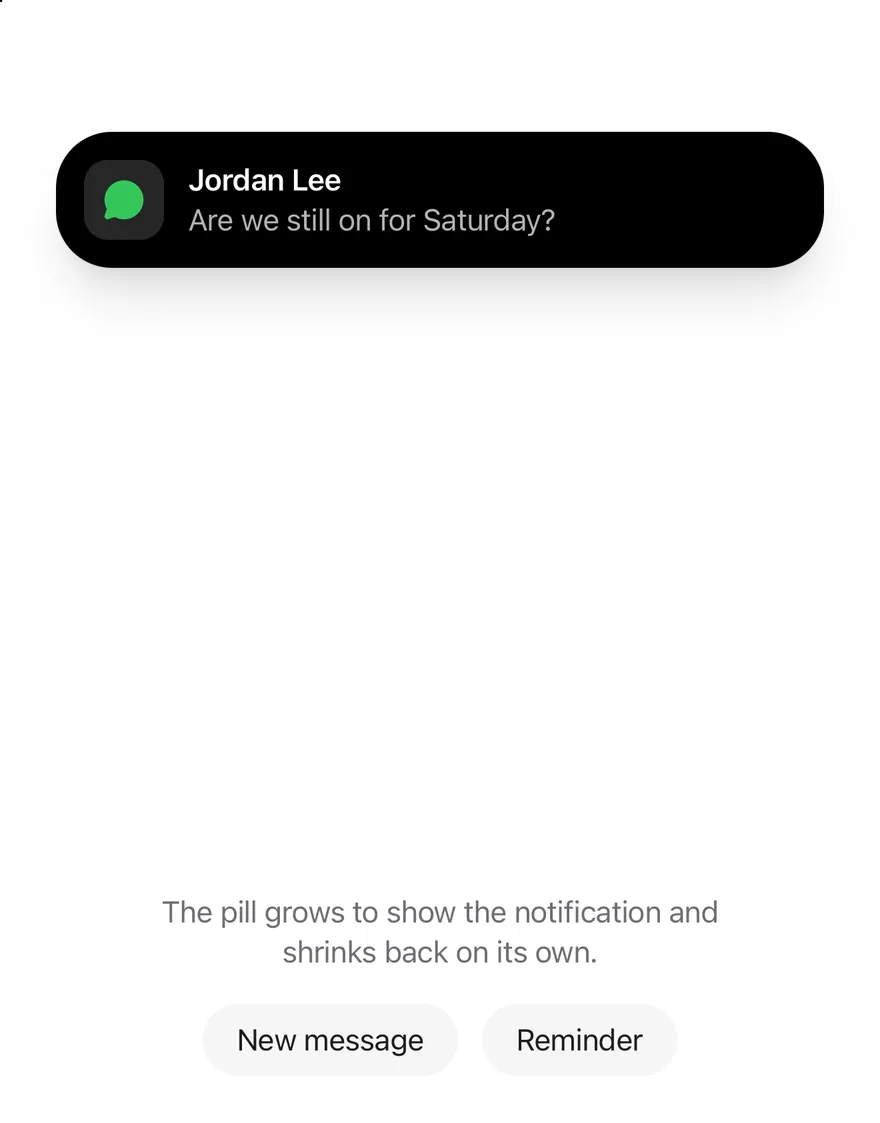 Island (notice) on iOS in light mode